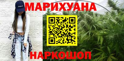 сатива Коммунар