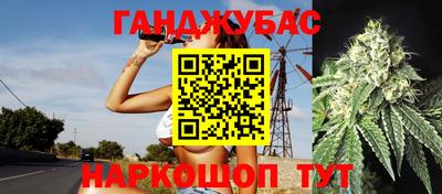 сатива Коммунар