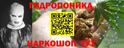 крисы Конаково
