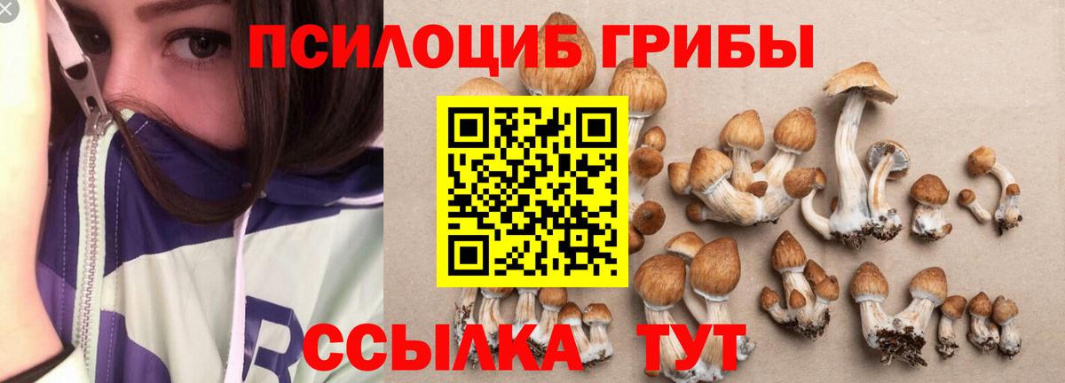 Галлюциногенные грибы Psilocybine cubensis  Вход с VPN  Коряжма 